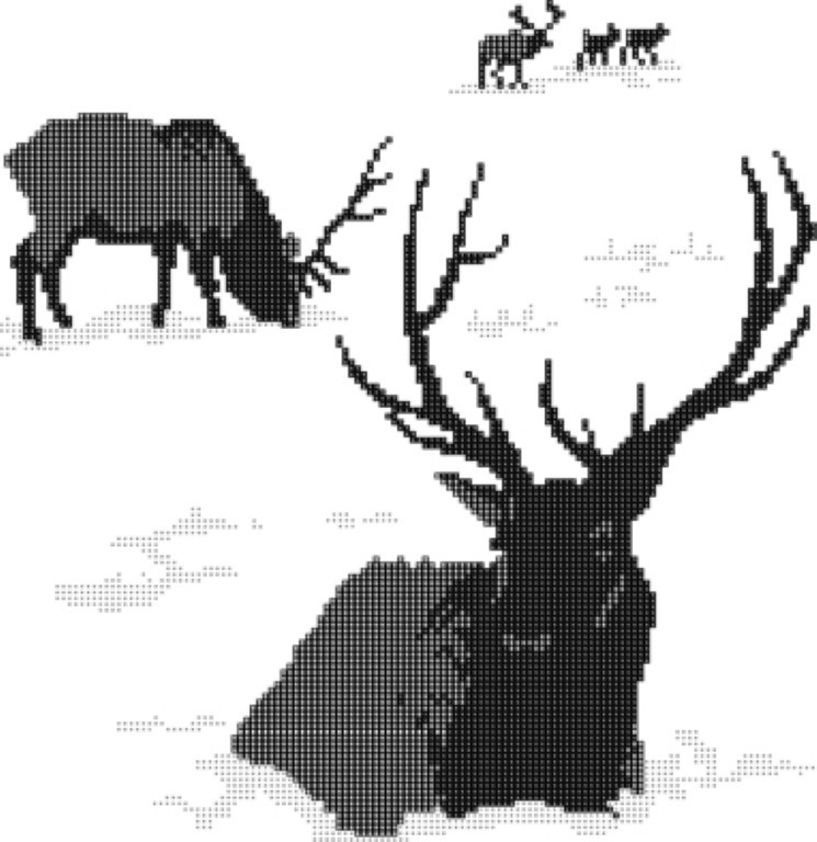 elks (Medium)